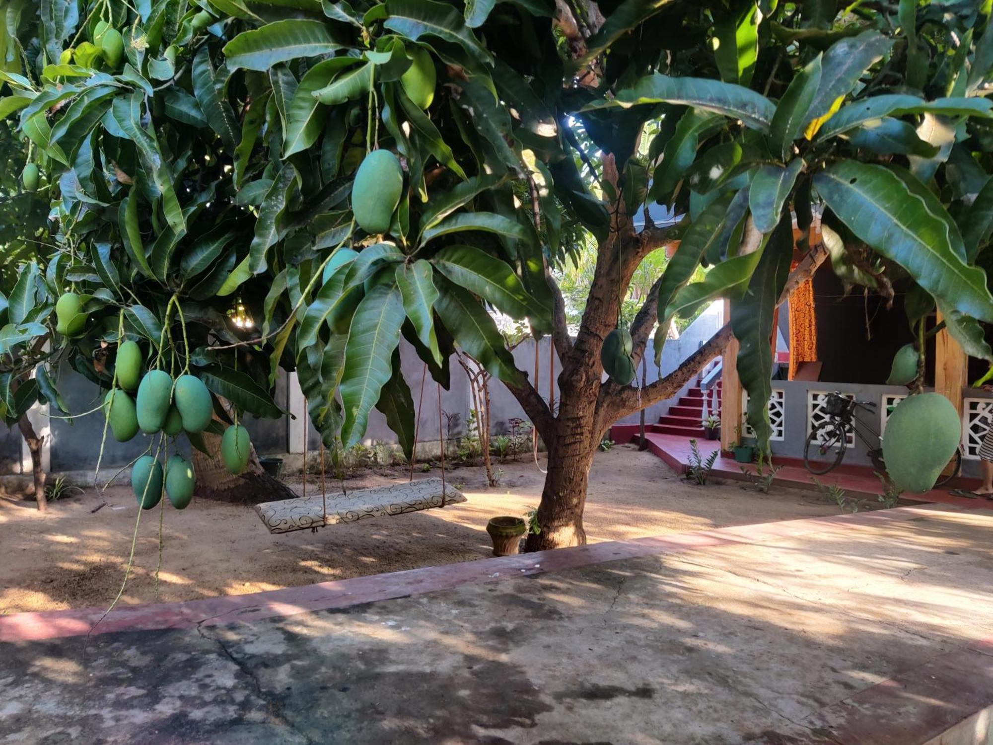 Enoch Guest House Mannar Zewnętrze zdjęcie