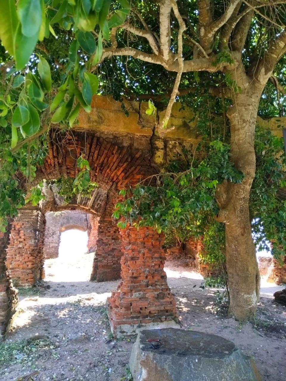 Enoch Guest House Mannar Zewnętrze zdjęcie